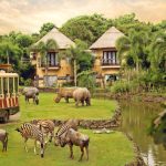 “Best Hotels, Eats, And Safaris In South Africa”