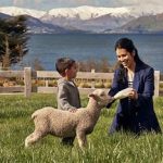 Why New Zealand Is Perfect For Families
