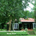 9 Beautiful Kerala Homestays To Book Now