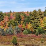 This Midwest State Has The Best Fall Colors