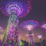 7 Beautiful Places To See Natural Light Festivals