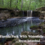 Florida Park With Waterfalls And Rare Trees