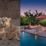 Aramness, Gujarat — Where Wilderness Meets Wellness