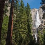 Best Time To Visit This National Park: Winter