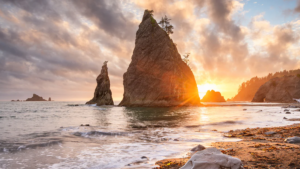 Rare Green Sand Beach In The U.S.: How To Visit