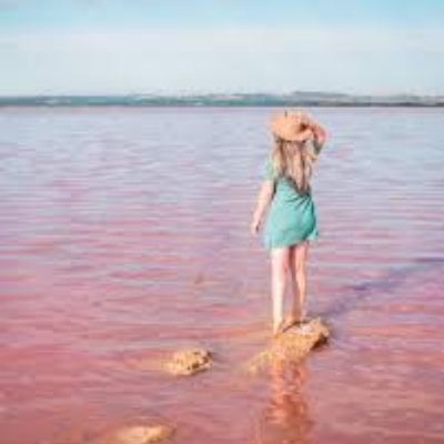 las salinas de torrevieja