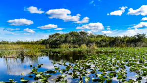 Florida’s Scenic National Park Spans 1.5 Million Acres