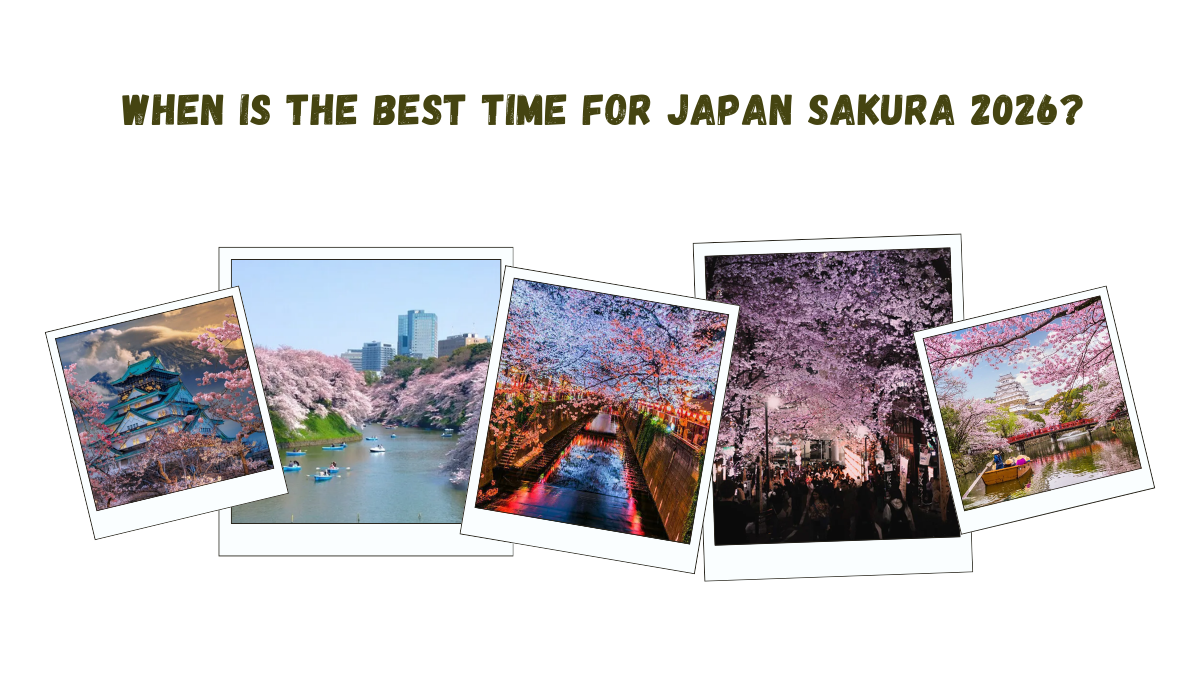 When is the Best Time to See Japan Sakura 2026?