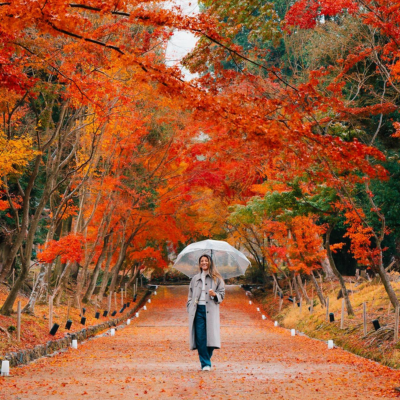 autumn season in japan